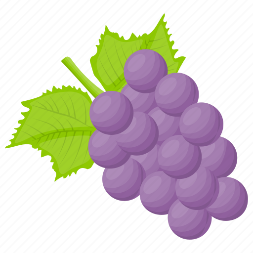 Beauty berry, berries, berry, berry fruit, hydrangea icon - Download on Iconfinder