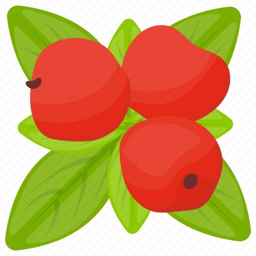 Berries, berry fruit, lingonberry, organic berry, red berries icon - Download on Iconfinder