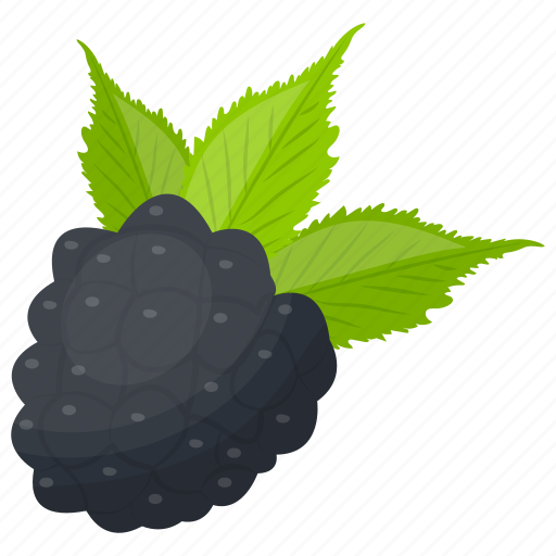 Berries, berry fruit, black raspberry, organic berry, raspberry icon - Download on Iconfinder