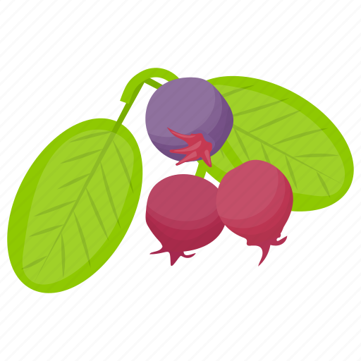 Berries, berry fruit, black currant, blackberries, currant fruit icon - Download on Iconfinder