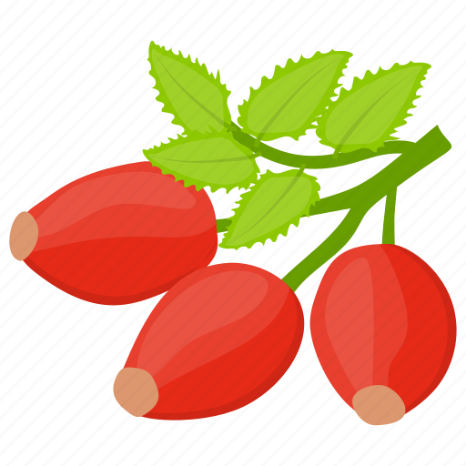 Berries, berry, cranberry, cranberry fruit, cranberry juice icon - Download on Iconfinder