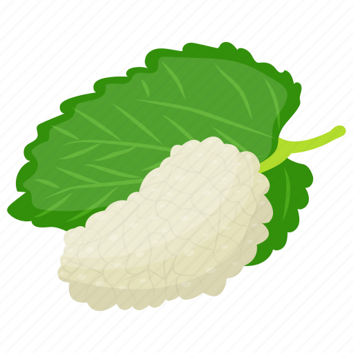 Berries, berry, berry fruit, white berries, white mulberry icon - Download on Iconfinder