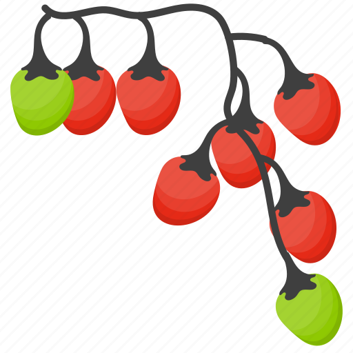 Berries, berry fruits, holly berries, winter berries, winterberry holly icon - Download on Iconfinder