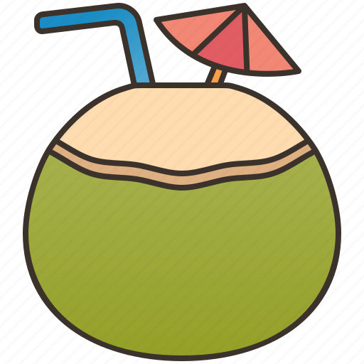 Coconut, fresh, juice, tropical, water icon - Download on Iconfinder