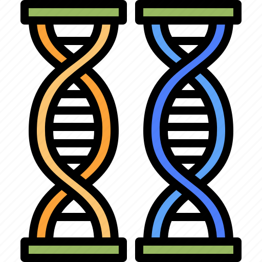 Dna, chromosome, genetics, biology, education icon - Download on Iconfinder