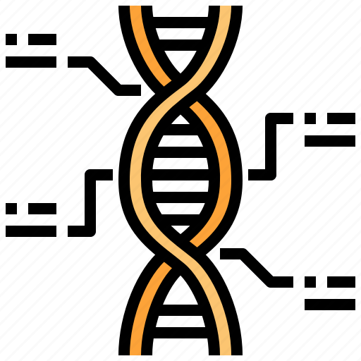 Dna, genetic, chromosome, structure, education icon - Download on Iconfinder