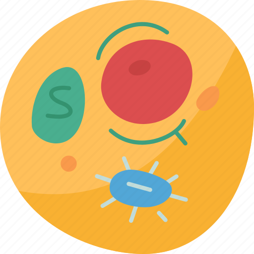 Cell, nucleus, animal, structure, biology icon - Download on Iconfinder