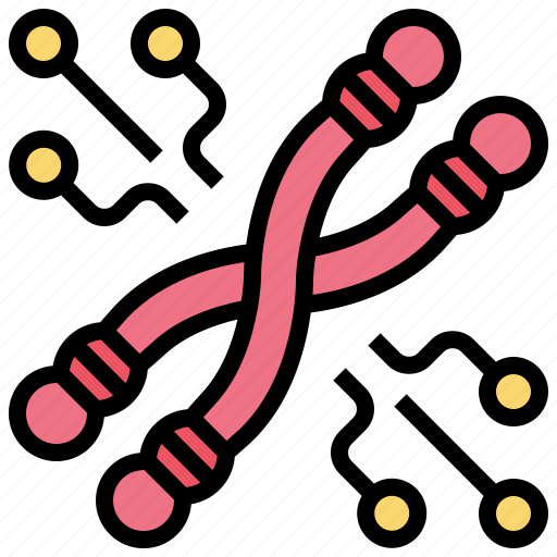 Biology, chromosome, dna, genetic, life icon - Download on Iconfinder