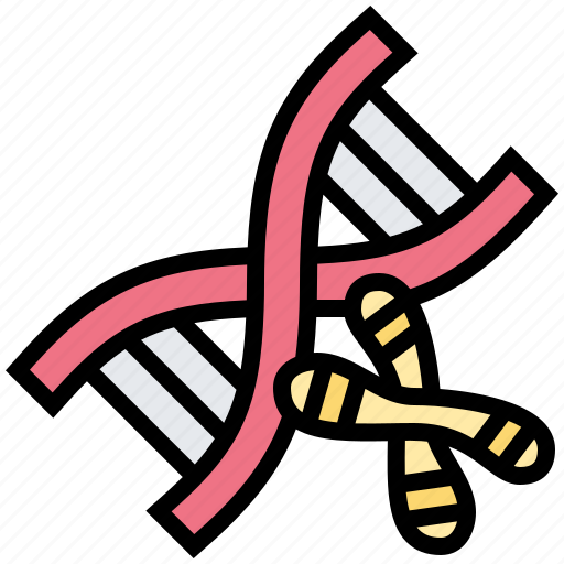 Chromosome, dna, genetics, helix, molecular icon - Download on Iconfinder