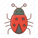 bug, virus, ladybird, microbe, insect