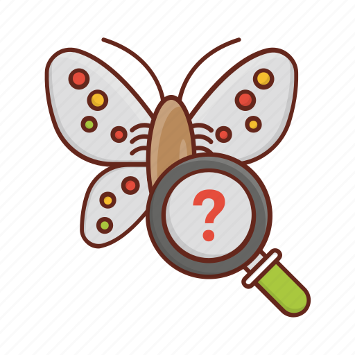 Search, butterfly, science, experiment, lab icon - Download on Iconfinder