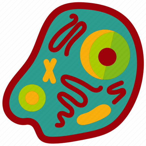 Cell, anatomical, biology, science, organism, organ icon - Download on Iconfinder