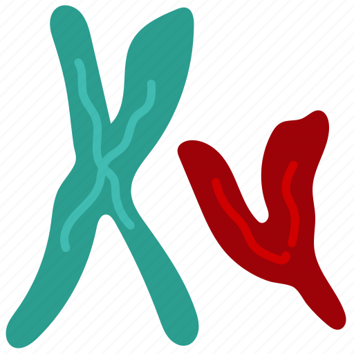 Chromosome, gene, biology, medicine, micro, molecular, structure icon - Download on Iconfinder