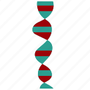 dna, science, biology, chromosome, gene, medical, molecular, spiral