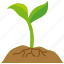 plant, root, seedling, sprout, leaf, growth, life, nature 