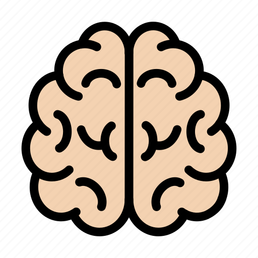 Brain, creative, head, mind, organ icon - Download on Iconfinder