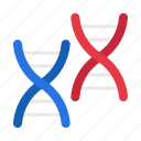 cloning techniques, dna, cloning, clone, biology, chromosome, healthcare and medical, scientific