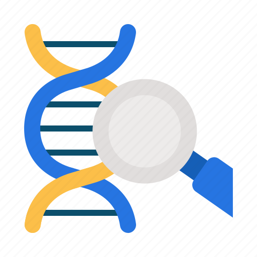 Gene therapy, dna test, bioengineering, education, science, healthcare, magnifying glass icon - Download on Iconfinder