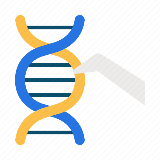 Genetic engineering, genetic, gmo, modification, healthcare and medical, dna, engineering icon - Download on Iconfinder