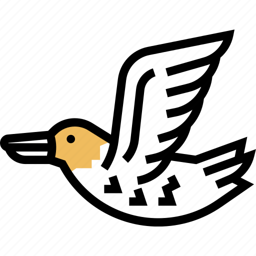 Sandpiper, bird, avian, aquatic, nature icon - Download on Iconfinder