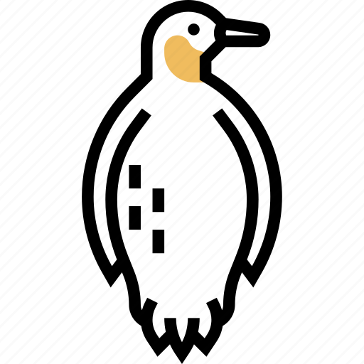 Penguin, bird, animal, snow, arctic icon - Download on Iconfinder