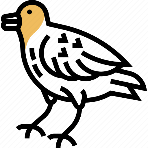 Goldfinch, fauna, wildlife, feather, wing icon - Download on Iconfinder