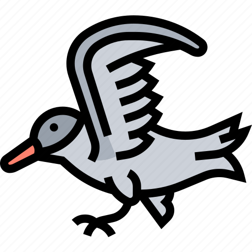 Tern, bird, ornithology, flight, arctic icon - Download on Iconfinder