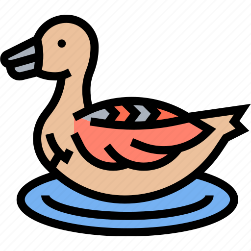 Greater, scaup, bird, duck, floating icon - Download on Iconfinder