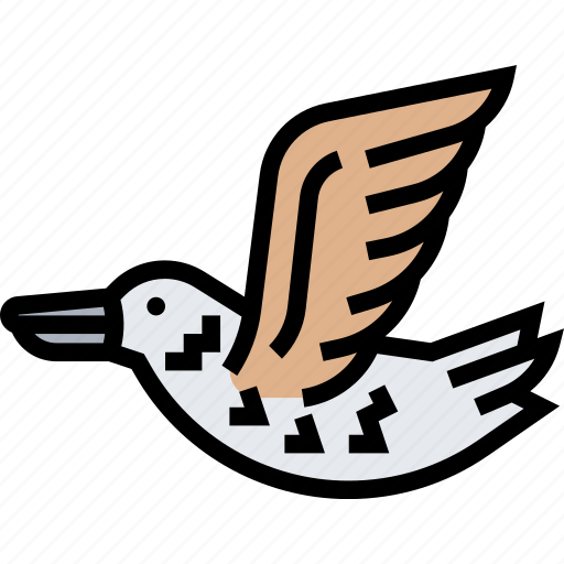 Sandpiper, bird, avian, aquatic, nature icon - Download on Iconfinder