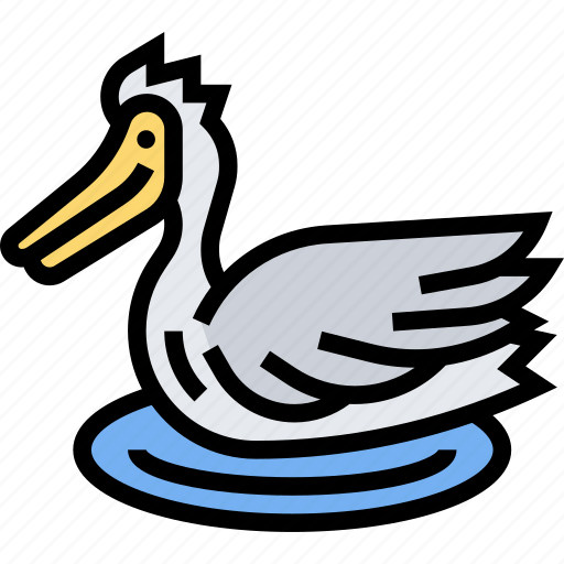 Pelecaniformes, water, bird, beak, wildlife icon - Download on Iconfinder
