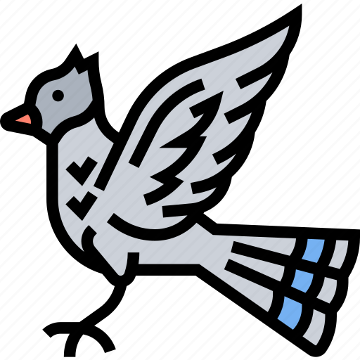 Bluejay, bird, animal, birdwatching, garden icon - Download on Iconfinder