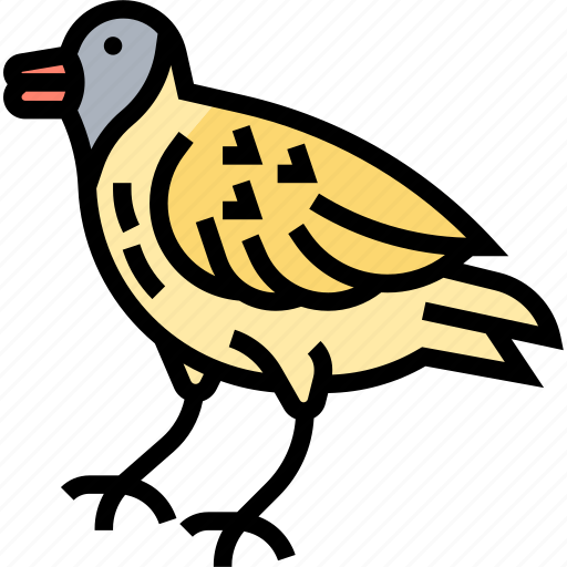 Goldfinch, fauna, wildlife, feather, wing icon - Download on Iconfinder