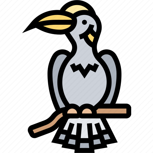 Hornbill, bird, beak, canopy, forest icon - Download on Iconfinder