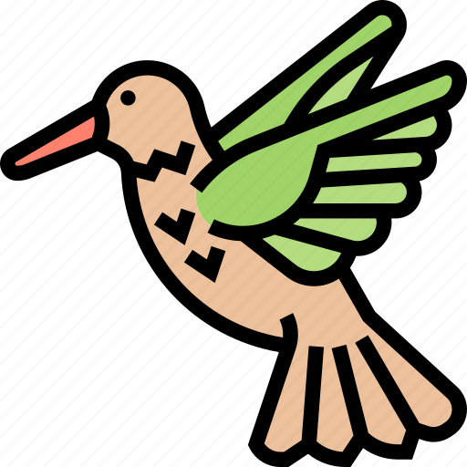 Hummingbird, fauna, animal, flight, flower icon - Download on Iconfinder