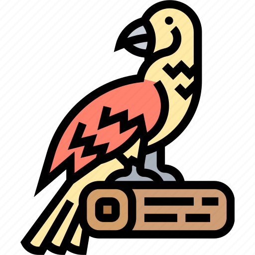 Parrot, macaw, bird, pet, animal icon - Download on Iconfinder
