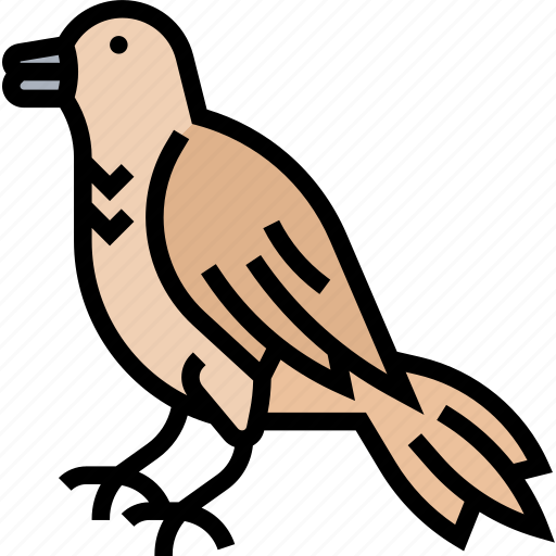 Robin, bird, songbird, tree, wild icon - Download on Iconfinder