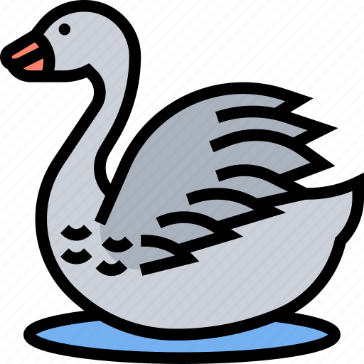 Swan, avian, animal, pond, lake icon - Download on Iconfinder