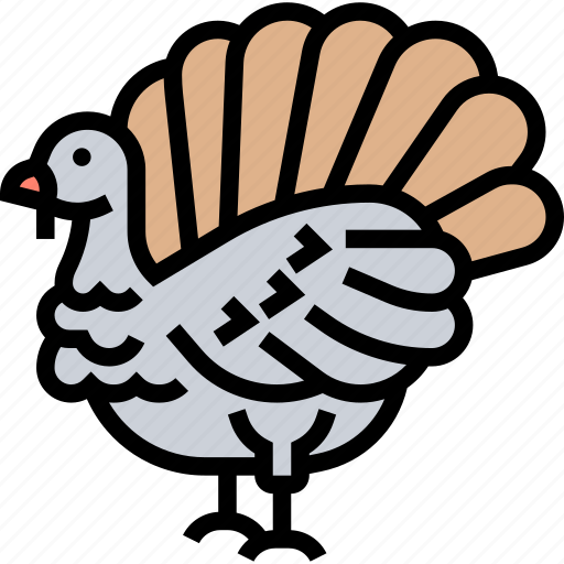 Turkey, gobbler, wild, animal, nature icon - Download on Iconfinder