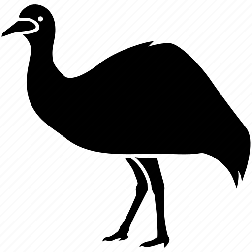 Australia, australian, bird, emu, flightless, large, rhea - Download on