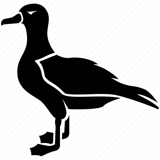Albatross, bird, fishing, gull, kittiwake, mew, seagull icon - Download on Iconfinder