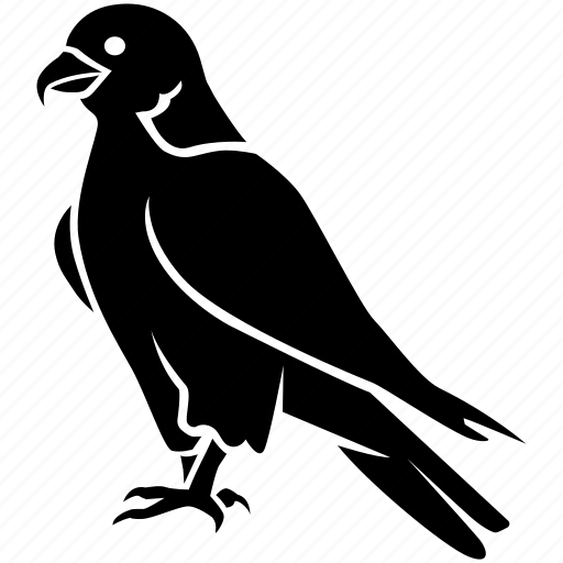Bird, duck, eagle, falcon, hawk, peregrine, prey icon - Download on Iconfinder