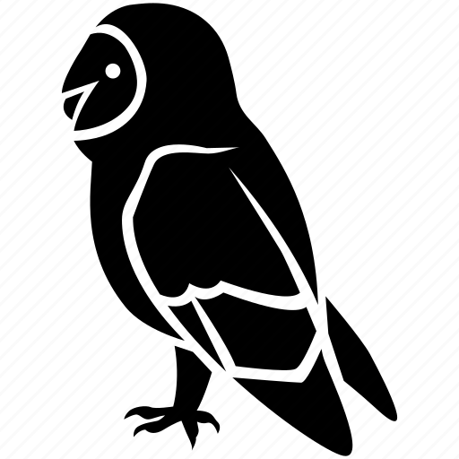 Athena, bird, night, nocturnal, owl, predator, tawny icon - Download on Iconfinder
