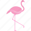 flamingo, flat icons, bird, fly, nature 
