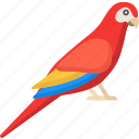 flat icons, parrot, bird, fly, nature