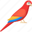 flat icons, parrot, bird, fly, nature 