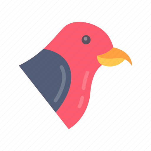 Crossbill, falcon, flamingo, ibis, pecock, paradisaeaapoda, mandarinduck icon - Download on Iconfinder