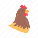 hen, chicken, food, animal, bird, healthy, poultry, cooking