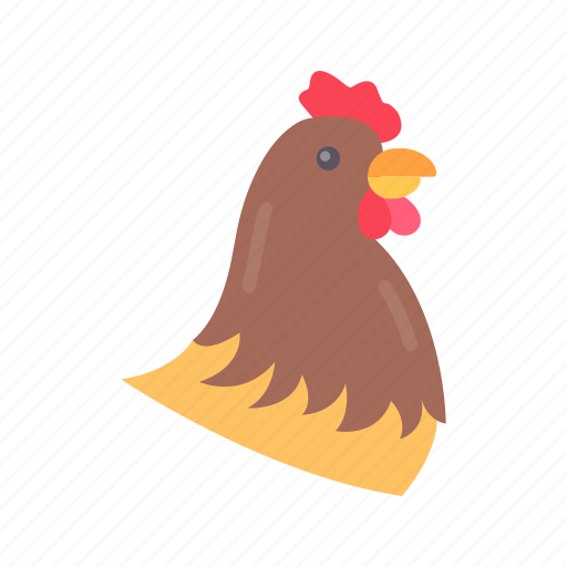 Hen, chicken, food, animal, bird, healthy, poultry icon - Download on Iconfinder