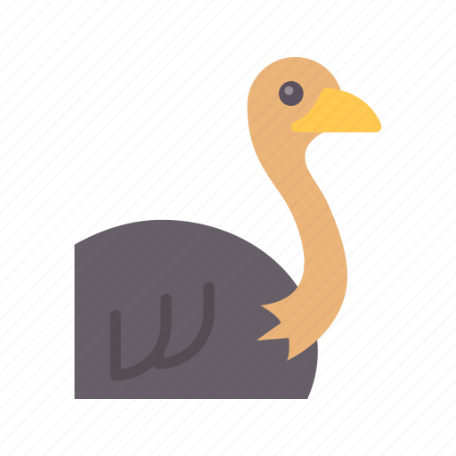 Ostrich, bird, animal, wildlife, zoo, nature, pet icon - Download on Iconfinder