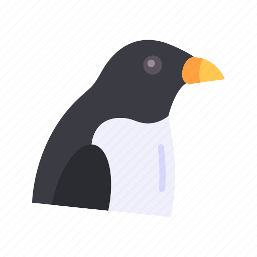 Penguin, animal, bird, zoo, wildlife, nature, winter icon - Download on Iconfinder